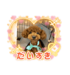 すごく使えるワン（個別スタンプ：11）