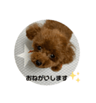 すごく使えるワン（個別スタンプ：13）