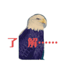 動物スタンプなんだし（個別スタンプ：1）