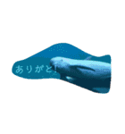 動物スタンプなんだし（個別スタンプ：15）