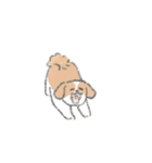 いぬこそドッグ  〜dog is INU〜（個別スタンプ：20）