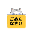 しましまシッポのねこ 日常会話（個別スタンプ：16）