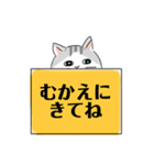 しましまシッポのねこ 日常会話（個別スタンプ：23）