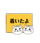 しましまシッポのねこ 日常会話（個別スタンプ：24）