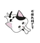 にゃんちょこりん【白黒ブチ猫】（個別スタンプ：1）