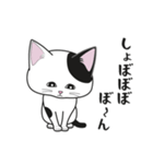 にゃんちょこりん【白黒ブチ猫】（個別スタンプ：5）