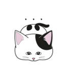 にゃんちょこりん【白黒ブチ猫】（個別スタンプ：9）