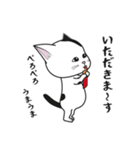 にゃんちょこりん【白黒ブチ猫】（個別スタンプ：13）
