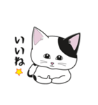 にゃんちょこりん【白黒ブチ猫】（個別スタンプ：14）