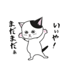 にゃんちょこりん【白黒ブチ猫】（個別スタンプ：15）
