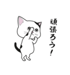 にゃんちょこりん【白黒ブチ猫】（個別スタンプ：16）