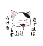 にゃんちょこりん【白黒ブチ猫】（個別スタンプ：19）