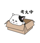 にゃんちょこりん【白黒ブチ猫】（個別スタンプ：21）