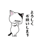 にゃんちょこりん【白黒ブチ猫】（個別スタンプ：25）