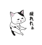 にゃんちょこりん【白黒ブチ猫】（個別スタンプ：28）