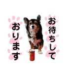 愛しの息子くん・娘ちゃん（個別スタンプ：3）