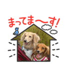 マメキラだっぺ兄妹③（個別スタンプ：18）