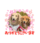 マメキラだっぺ兄妹③（個別スタンプ：20）