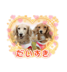 マメキラだっぺ兄妹③（個別スタンプ：28）