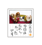 マメキラだっぺ兄妹③（個別スタンプ：30）