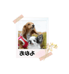 マメキラだっぺ兄妹③（個別スタンプ：34）
