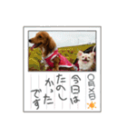 マメキラだっぺ兄妹③（個別スタンプ：35）