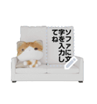 斑ちゃんの猫友2（個別スタンプ：2）