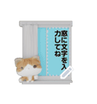 斑ちゃんの猫友2（個別スタンプ：3）