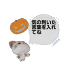 斑ちゃんの猫友2（個別スタンプ：11）