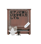 斑ちゃんの猫友2（個別スタンプ：14）