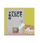 斑ちゃんの猫友2（個別スタンプ：18）