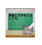 斑ちゃんの猫友2（個別スタンプ：20）