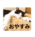 マイケル/ジャクソンスタンプ（個別スタンプ：8）