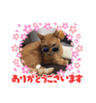 マイケル/ジャクソンスタンプ（個別スタンプ：14）
