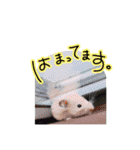 雑恋みっくちゅじゅーちゅ（個別スタンプ：12）