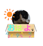 小春びより1（個別スタンプ：2）