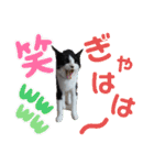 小春びより1（個別スタンプ：23）