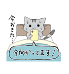 ごきげんこねこ（個別スタンプ：1）