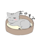 ごきげんこねこ（個別スタンプ：3）