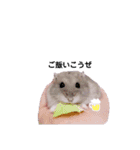はむすけスタンプ（個別スタンプ：3）