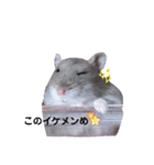 はむすけスタンプ（個別スタンプ：10）