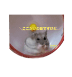 はむすけスタンプ（個別スタンプ：20）