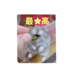 はむすけスタンプ（個別スタンプ：24）