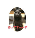 ぼんはる（個別スタンプ：1）