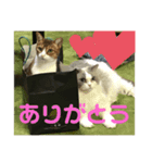 ぼんはる（個別スタンプ：3）