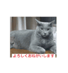 ぼんはる（個別スタンプ：4）