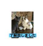 ぼんはる（個別スタンプ：5）