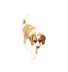 lemonbeagle2（個別スタンプ：4）