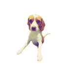 lemonbeagle2（個別スタンプ：5）