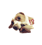 lemonbeagle2（個別スタンプ：7）